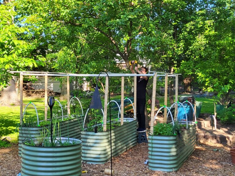 Trellis And My Garden