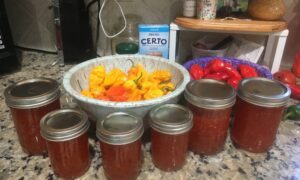 pepper jelly