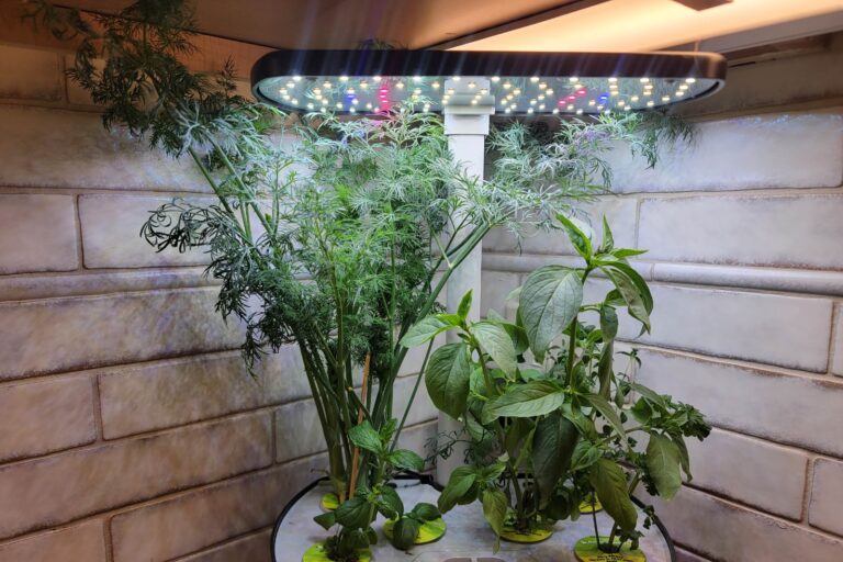 Hydroponic Gardening System: 1 Ultimate Guide