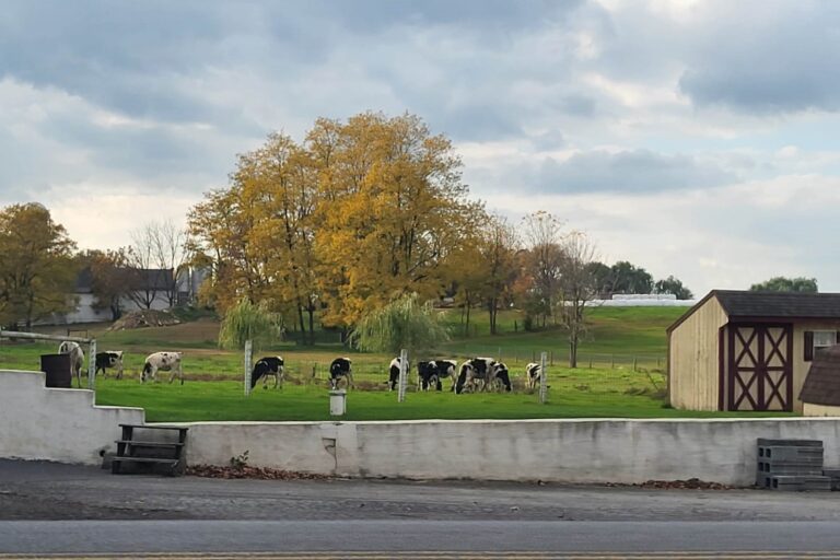 Amish community Lancaster- Pennsylvania