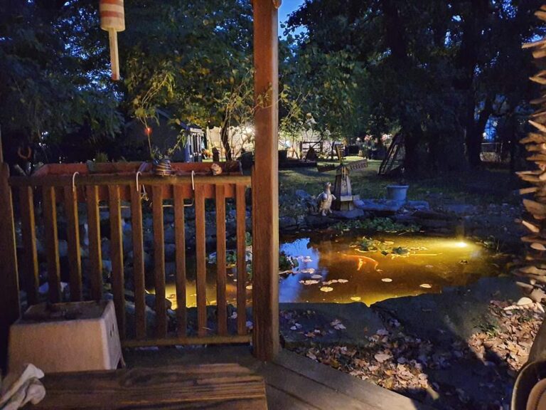 permaculture gardening