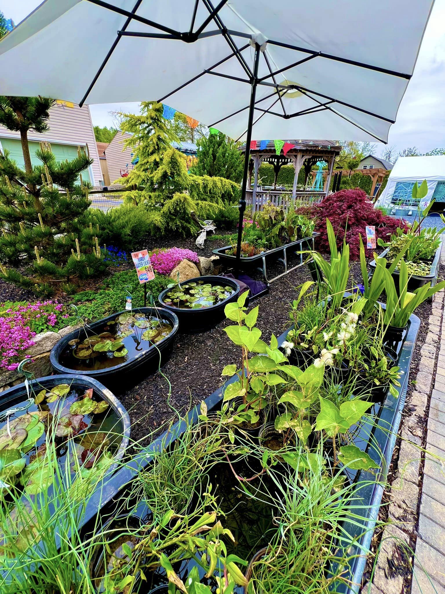 low-carbon footprint gardening