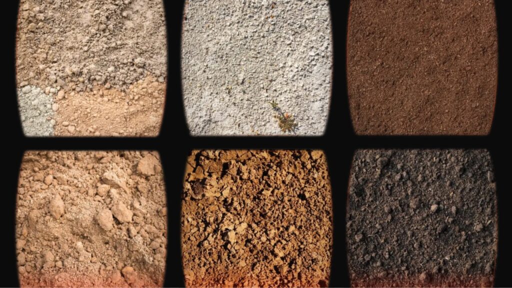 6 Common Types of Garden Soil: An Ultimate Guide - My Friend Bob