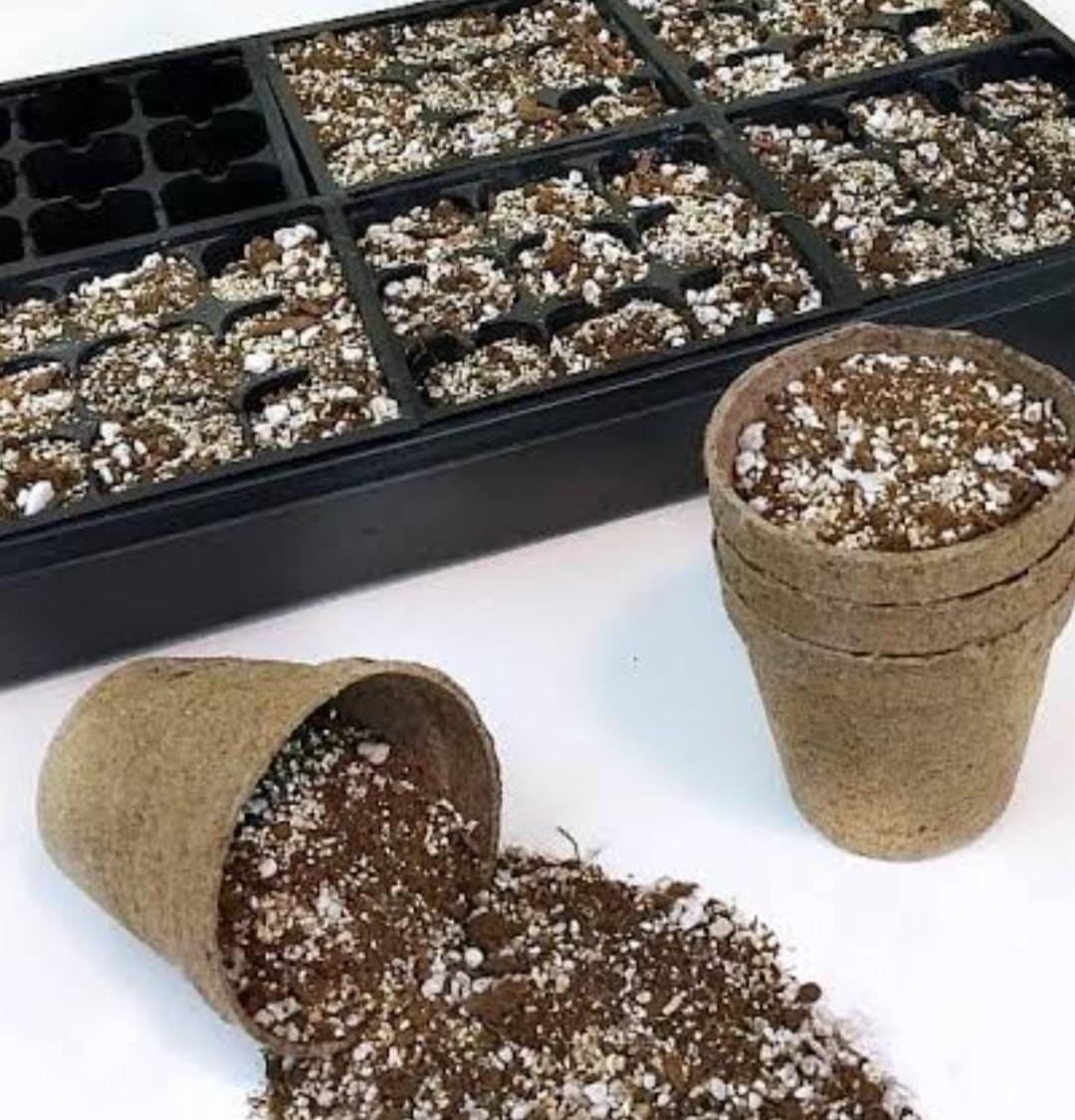 seed starting mix