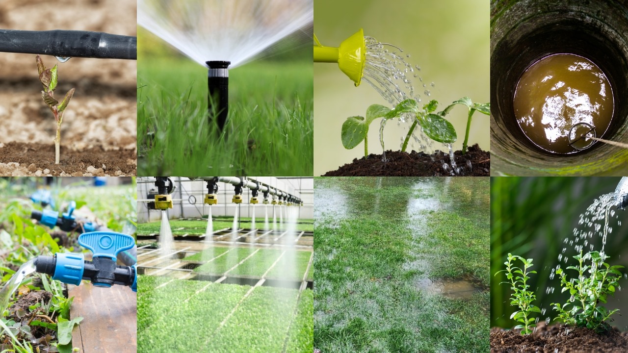 Watering Techniques 5 Exclusive Ways To Water Efficiently My Friend Bob