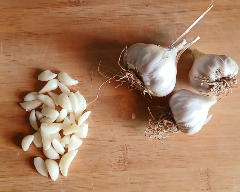 garlic