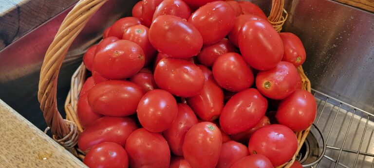 tomato
