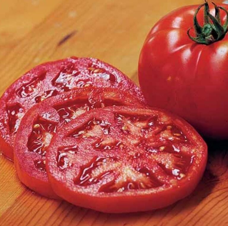 beefsteak tomato