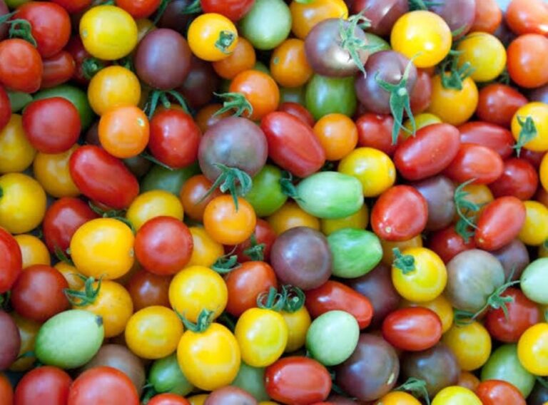 cherry tomatoes
