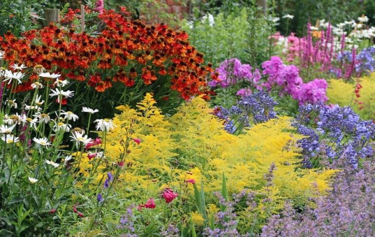 perennials